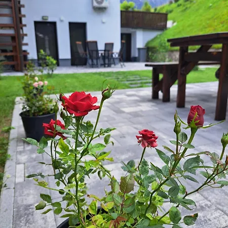 Reset Apartament *
