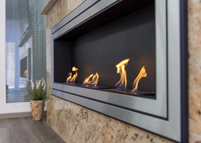 Reset 크라니스카고라