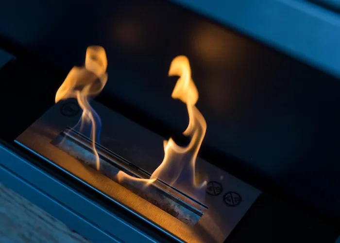 Reset * 크라니스카고라